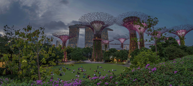 /images/default-source/sg-folder/mkg/advancing-singapore-equity-market-hero-banner.tmb-rs800x600.png?Status=Master&Culture=en&sfvrsn=532e22cb_1